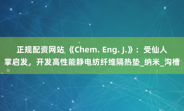 正规配资网站 《Chem. Eng. J.》：受仙人掌启发，开发高性能静电纺纤维隔热垫_纳米_沟槽